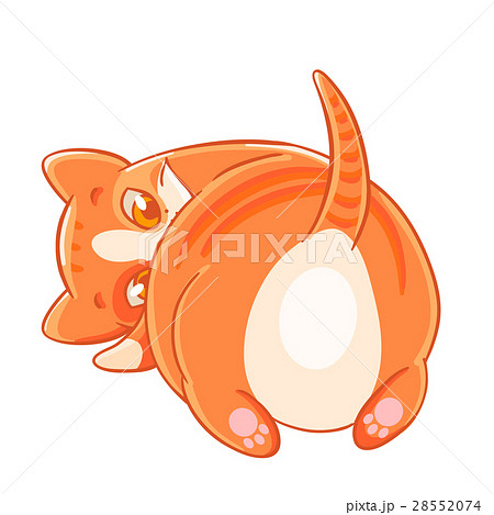 Naughty ginger striped cat looks back. 28552074