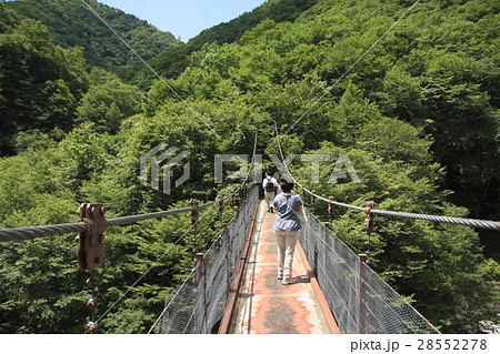 西沢渓谷(往路:二俣吊橋) 西沢渓谷(往路:二俣吊橋) 28552278