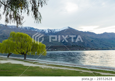 ニュージーランド　ワナカのワナカ湖 28552628