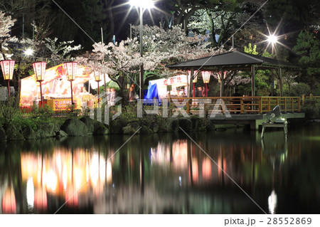 日和山公園の夜桜 長時間露光 28552869