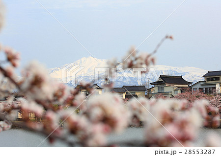 鳥海山と桜 28553287