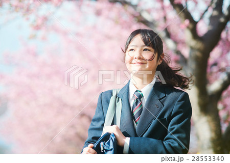 高校生と桜 28553340