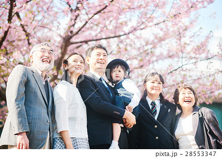 家族と桜 28553347