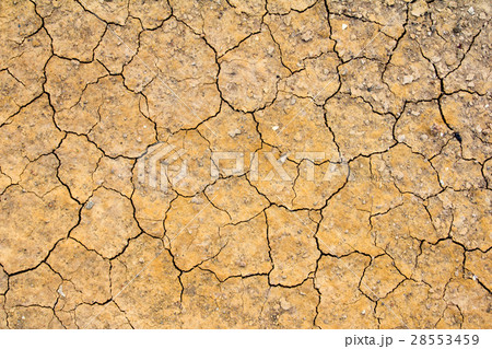 Cracked dry brown soil background 28553459