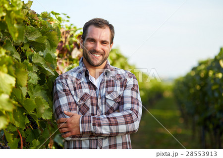 Winemaker in vineyard 28553913