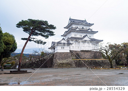 小田原城天守閣 小田原城天守閣 28554329