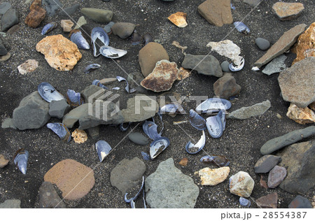 Seashore of the Atlantic ocean 28554387