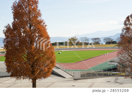 愛鷹広域公園の多目的競技場 愛鷹広域公園の多目的競技場 28555209