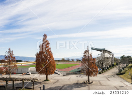 愛鷹広域公園の多目的競技場 愛鷹広域公園の多目的競技場 28555210