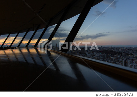 文京区役所の展望台から望む東京の夕景 28555472