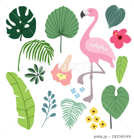 Summer Tropical Graphic Elements With Flamingoのイラスト素材