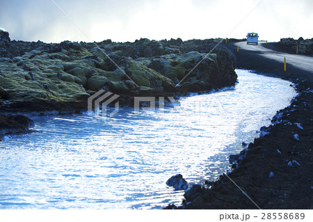 Shuttle service to the Blue Lagoon, Iceland 28558689