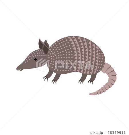 Cartoon armadillo animal smiling 28559911