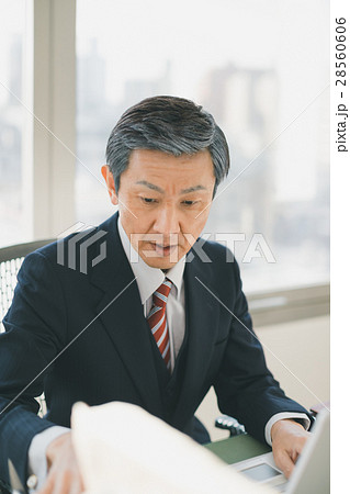 office office 28560606