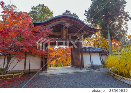 二尊院の紅葉 二尊院の紅葉 28560636