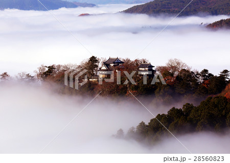 天空の山城874-● 28560823