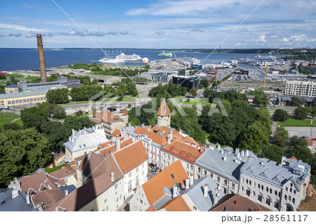 エストニアの首都タリン 聖オレフ教会塔から旧市街と港を俯瞰 エストニアの首都タリン 聖オレフ教会塔から旧市街と港を俯瞰 28561117