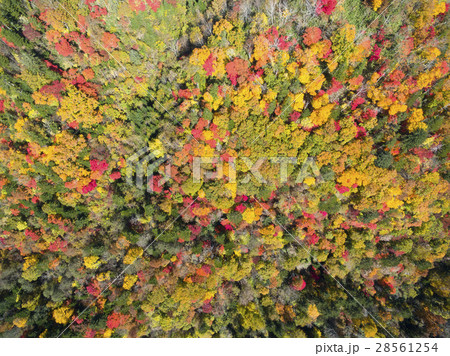 秋の恵庭渓谷（空撮 真俯瞰） 28561254