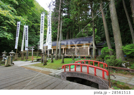 善宝寺 貝喰の池 龍神堂 善宝寺 貝喰の池 龍神堂 28561513