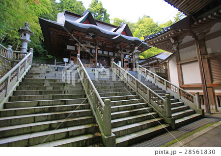 善宝寺　龍王殿 28561830