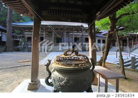 善宝寺 善宝寺 28561834