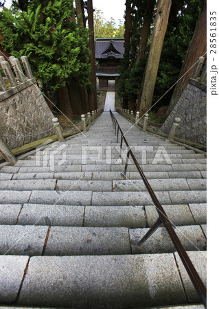 善宝寺 参道石段 善宝寺 参道石段 28561835