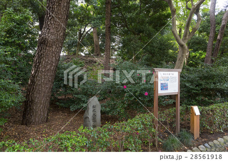 松の大廊下跡 松の大廊下跡 28561918