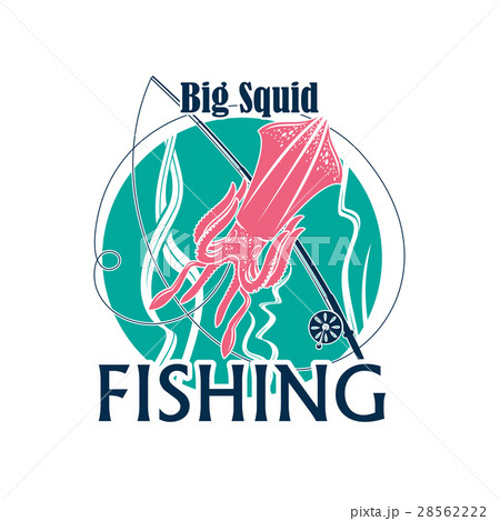 Fishing squid seafood vector icon 28562222