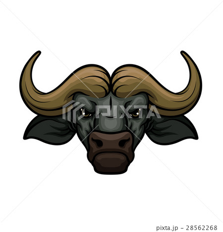 Buffalo head muzzle vector mascot icon 28562268