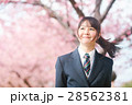 高校生と桜 28562381