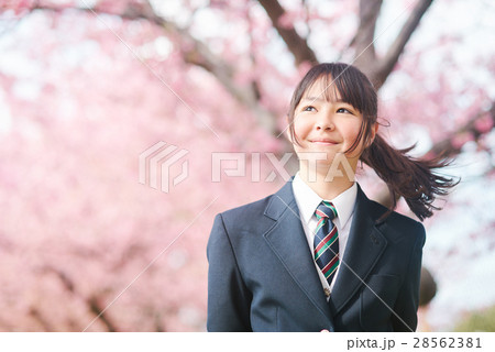 高校生と桜 28562381