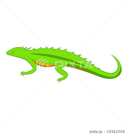 Green lizard icon, cartoon style Green lizard icon, cartoon style 28562508