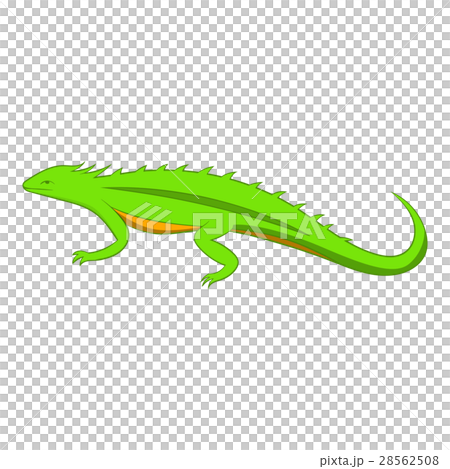 Green lizard icon, cartoon style Green lizard icon, cartoon style 28562508