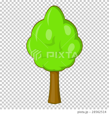Park tree icon, cartoon style Park tree icon, cartoon style 28562514