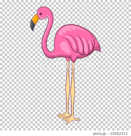 Flamingo icon, cartoon style Flamingo icon, cartoon style 28562521