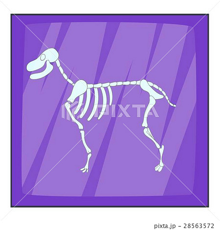 Dog skeleton icon, cartoon style Dog skeleton icon, cartoon style 28563572