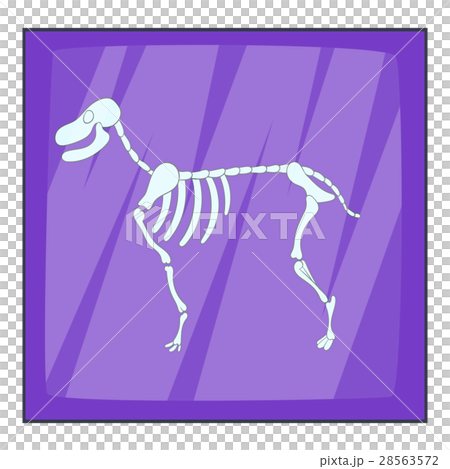 Dog skeleton icon, cartoon style Dog skeleton icon, cartoon style 28563572