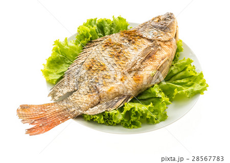 Grilled Fresh fish Grilled Fresh fish 28567783
