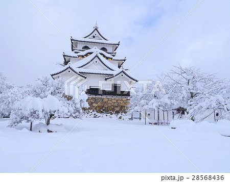 国宝 彦根城 冬景色の写真素材 [28568436] - PIXTA