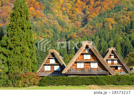 岐阜_紅葉の白川郷 28573217