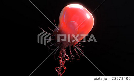 Jellyfish underwater going to the sun isolated on 28573406