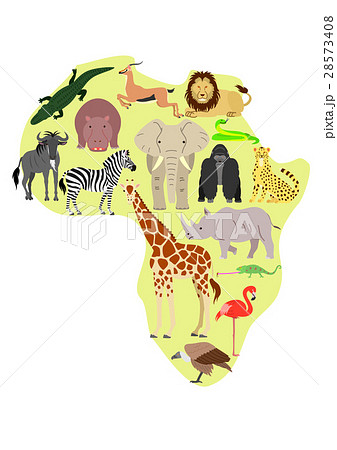 アフリカの動物セット カラーのイラスト素材