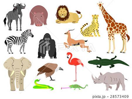 アフリカの動物セット カラー 素材のイラスト素材