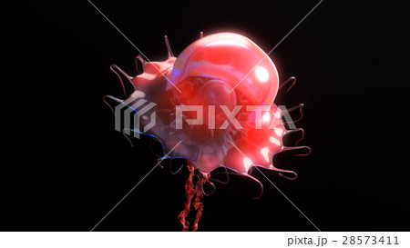 Jellyfish underwater going to the sun isolated on 28573411