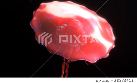 Jellyfish underwater going to the sun isolated on 28573413
