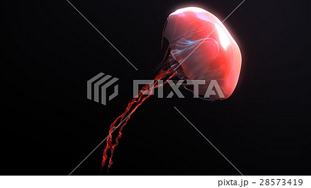 Jellyfish underwater going to the sun isolated on 28573419