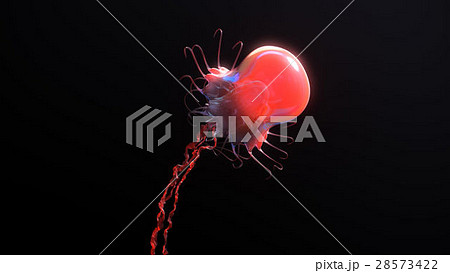 Jellyfish underwater going to the sun isolated on 28573422