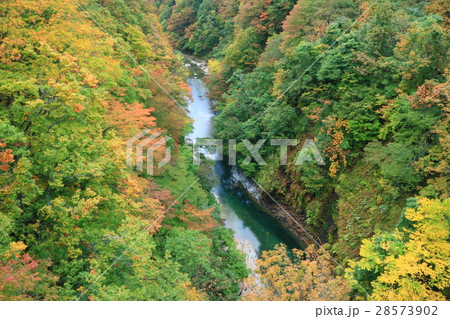 秋の小安峡 28573902