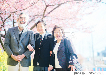 祖父母と孫　桜イメージ 28573920