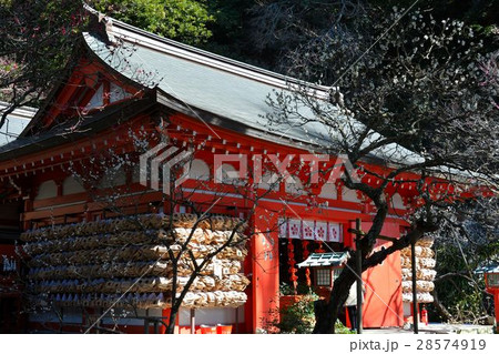 鎌倉、荏柄天神学問の神様 鎌倉、荏柄天神学問の神様 28574919
